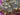 670dca8034be6e479edf2839_img-0861_1791314551037.jpeg