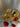 670dca8034be6e479edf2839_img-0911_1769488156495.jpeg