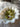 670dca8034be6e479edf2839_img-0912_1769487880874.jpeg