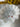 670dca8034be6e479edf2839_img-0915_1769487775664.jpeg