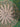 670dca8034be6e479edf2839_img-0929_1793064961523.jpg