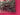 670dca8034be6e479edf2839_img-0993_1791992570434.jpeg