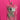 670dca8034be6e479edf2839_img-1117_1792708501751.jpeg