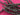 670dca8034be6e479edf2839_img-1121_1792709988498.jpeg