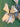 670dca8034be6e479edf2839_img-1154_1793325389574.jpg