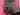670dca8034be6e479edf2839_img-1157_1792708185151.jpeg
