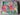 670dca8034be6e479edf2839_img-1183_1773098169214.jpeg