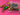 670dca8034be6e479edf2839_img-1210_1792972035167.jpeg