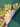 670dca8034be6e479edf2839_img-1239_1793325502642.jpg