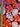 670dca8034be6e479edf2839_img-1321_1750780231261.jpeg