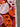 670dca8034be6e479edf2839_img-1322_1750780231262.jpeg