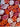 670dca8034be6e479edf2839_img-1323_1750780231262.jpeg