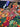 670dca8034be6e479edf2839_img-1660_1788962169884.jpeg
