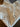 670dca8034be6e479edf2839_img-1721_1772311134857.jpeg