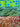 670dca8034be6e479edf2839_img-2219_1790267183642.jpeg
