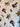 670dca8034be6e479edf2839_img-2414_1754589429909.jpeg