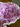670dca8034be6e479edf2839_img-2415_1774139037192.jpeg