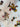 670dca8034be6e479edf2839_img-2418_1754589429910.jpeg