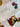 670dca8034be6e479edf2839_img-2419_1754589429910.jpeg