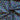 670dca8034be6e479edf2839_img-2432_1793237697550.jpeg