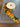 670dca8034be6e479edf2839_img-2450_1774136787786.jpeg