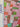 670dca8034be6e479edf2839_img-2695_1755716523562.jpeg