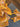 670dca8034be6e479edf2839_img-2853_1774742283289.jpeg