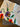 670dca8034be6e479edf2839_img-2884_1774804294309.jpeg