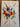 670dca8034be6e479edf2839_img-2885_1774804294309.jpeg