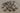 670dca8034be6e479edf2839_img-2918-medium_1773340171822.jpeg