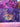 670dca8034be6e479edf2839_img-2934_1791633025734.jpeg