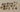 670dca8034be6e479edf2839_img-2974-medium_1773596465774.jpeg