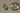 670dca8034be6e479edf2839_img-3118-medium_1774799054611.jpeg