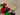 670dca8034be6e479edf2839_img-3122-large_1774815793387.jpeg