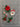 670dca8034be6e479edf2839_img-3137_1776610918328.jpeg