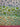 670dca8034be6e479edf2839_img-3233_1792365432158.jpeg