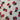670dca8034be6e479edf2839_img-3250_1792418858730.jpeg