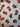 670dca8034be6e479edf2839_img-3250_1792418858730.jpeg