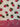 670dca8034be6e479edf2839_img-3252_1792418858731.jpeg
