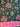 670dca8034be6e479edf2839_img-3288_1792451757988.jpeg