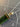 670dca8034be6e479edf2839_img-3299_1775422298453.jpeg