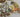 670dca8034be6e479edf2839_img-3316-medium_1775509220573.jpeg