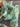 670dca8034be6e479edf2839_img-3330_1775422941502.jpeg