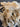 670dca8034be6e479edf2839_img-3332_1775422973473.jpeg