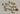 670dca8034be6e479edf2839_img-3335-medium_1775508447784.jpeg