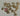 670dca8034be6e479edf2839_img-3347-medium_1775507824225.jpeg