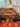 670dca8034be6e479edf2839_img-3348_1792696555391.jpeg