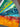 670dca8034be6e479edf2839_img-3353_1758109878715.jpeg