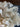 670dca8034be6e479edf2839_img-3363_1775420383173.jpeg