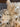 670dca8034be6e479edf2839_img-3365_1775420383173.jpeg